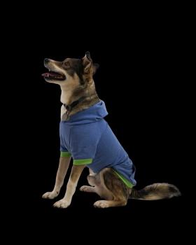 Preview: Fadenkäfer Papierschnittmuster Hunde Hoodie (Größen 3XS–6XL)